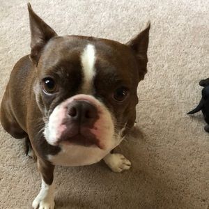 Meet your Posher, Sue